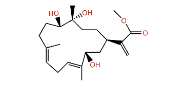 Dendronpholide C